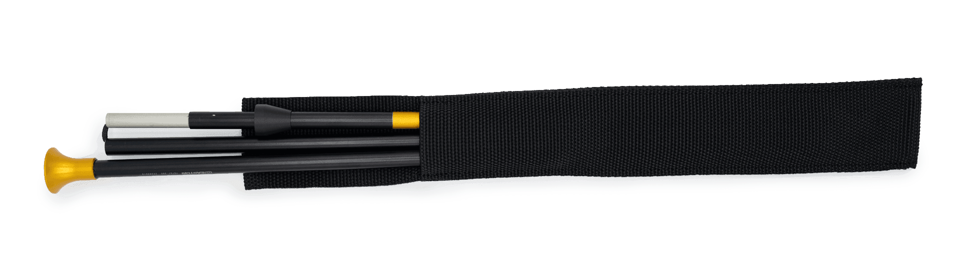 Collapsible ramrod and carry case