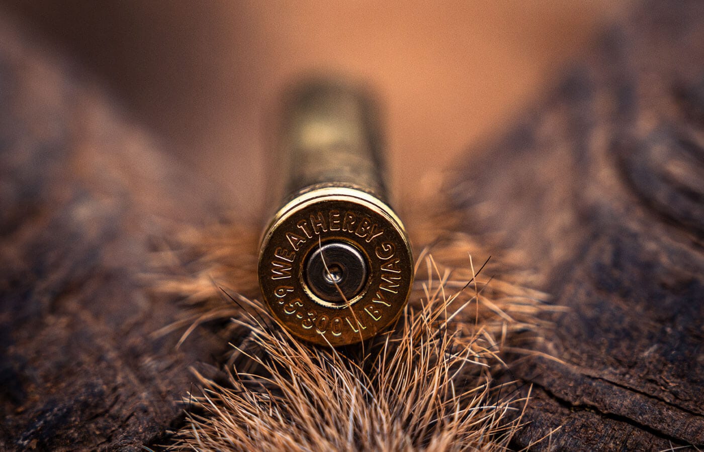 2016 Weatherby cartridges
