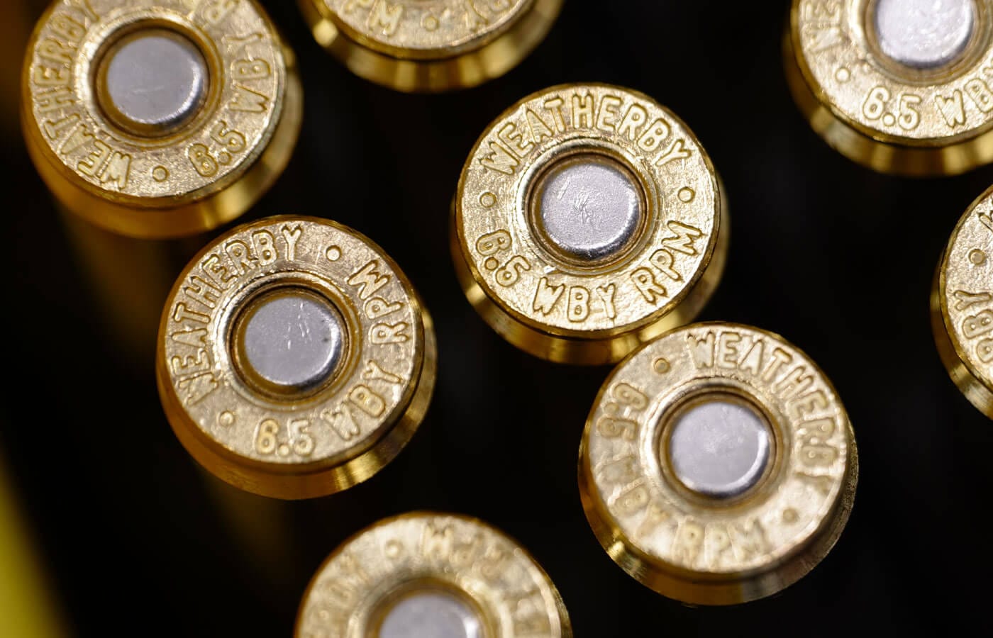2019 Weatherby cartridges