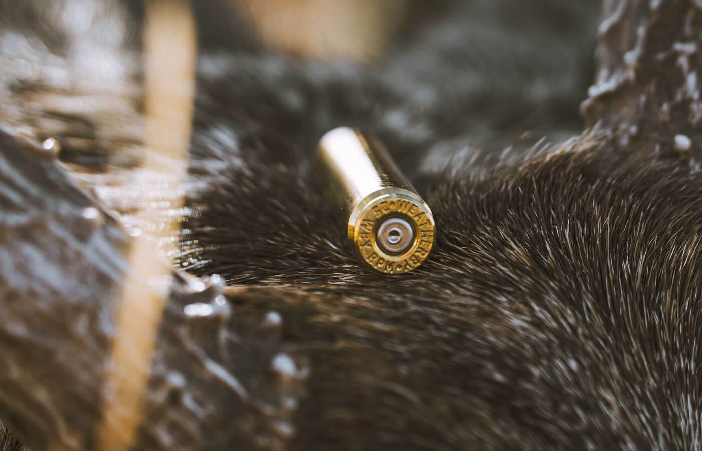 2026 Weatherby cartridges