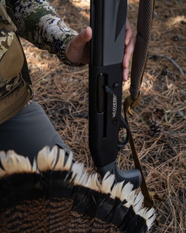 It's about the time of year where big game hunters trade in their rifles for shotguns and head into the turkey woods.Which state are you hunting turkeys in this year?#Weatherby #Turkeyseason2024