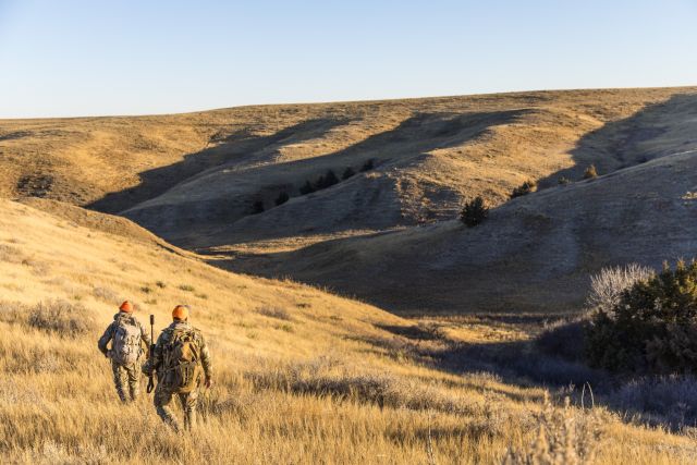 Finding success in the rolling hills of the vast american plains📸 @hookedhunting#Weatherby #Nebraska #MuleDeer #Hookedhunting
