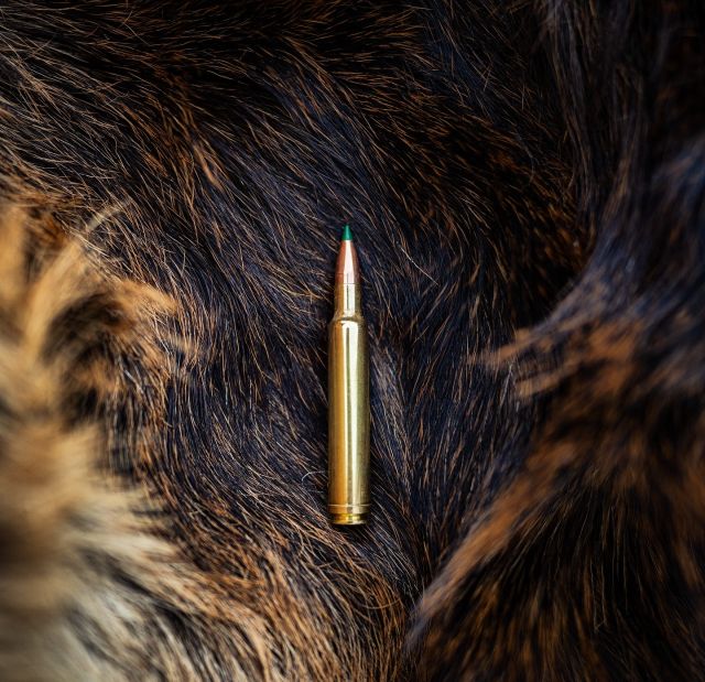 Alright, let’s hear those guesses! What cartridge is this?#Weatherby #NothingsFaster