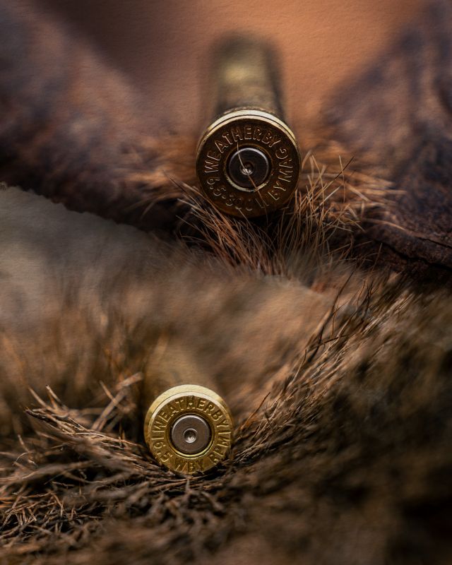 From the fastest 6.5s on the market to you, Happy 6.5 Day!#Weatherby #NothingsFaster