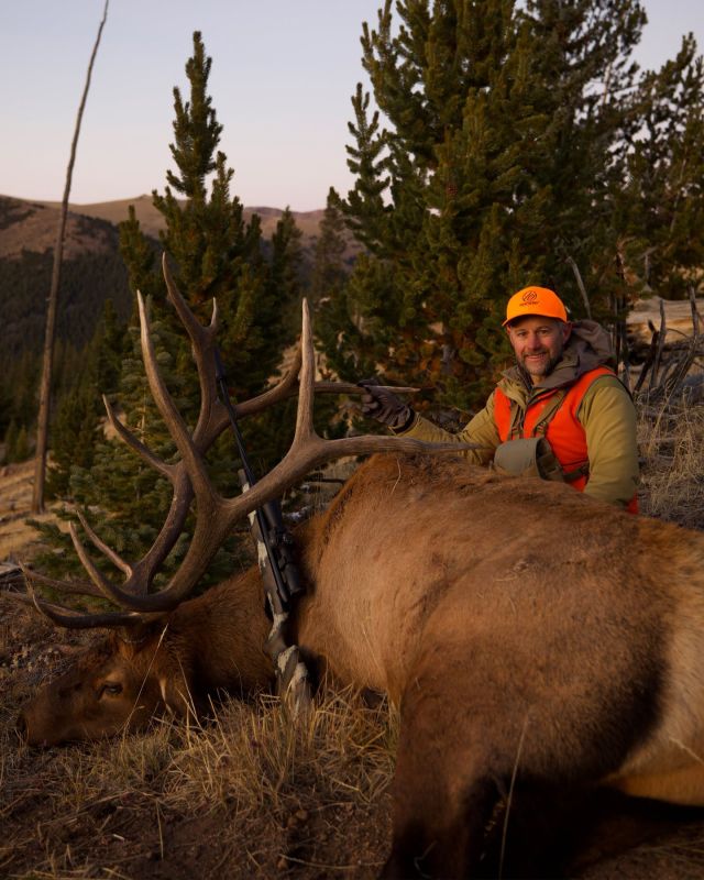 "The 12,000 foot bull"Adam Weatherby tagged this giant CO bull last year at nearly 12,000 feet of elevation. Can anyone guess what it scored?Rifle: Mark V® High Country
Cartridge: 300 WBY MAG
Bullet: 195 Hammer Custom
Distance: 280 Yards#Weatherby #Elk #Colorado