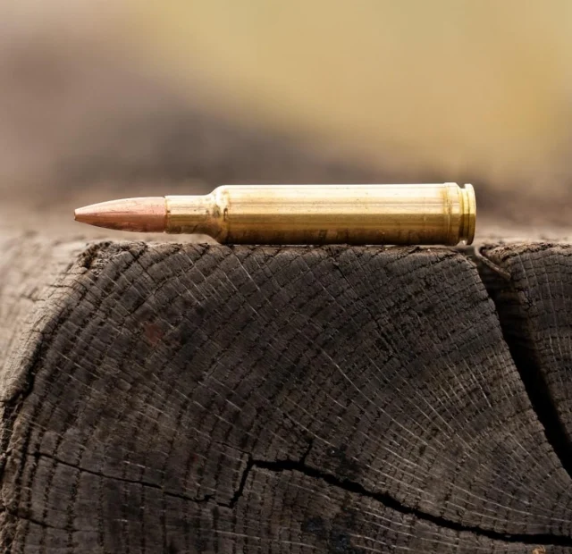 It’s been a while since we’ve done a cartridge guessing game so let’s hear those guesses!Don’t worry we’ll give you some hints. This powerful cartridge exemplifies ballistic superiority by flying out of the muzzle at 3494 fps with a 165 gr bullet and packs a punch with 2706 ft lbs at 500 yards with a 220 gr bullet. This round is also the fastest production 30 caliber on the market.We do ballistics better!#Weatherby #Ballistics #Ammo