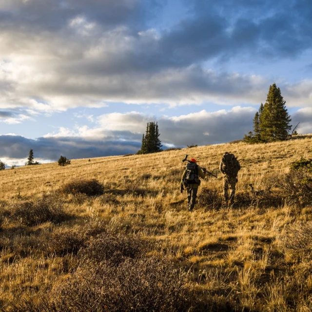 COLORADO GIANT!This Sunday we'll be releasing this featured film on our Youtube that tells the story of hunting at 12,000 feet and Adam Weatherby's largest bull elk ever. Make sure you check this one out!#Weatherby