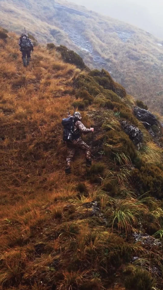 LIVE NOW!Experience the backcountry like never before as @adamweatherby @brendaweatherby and @josephvonbenedikt chase rutting Fallow Deer, the elusive Chamois, and the magnificent Himalayan Tahr in the mountains of New Zealand's Southern Alps.Book your next hunt @sam_caley_trophy_huntingWe own the backcountry.
#Weatherby #NewZealand