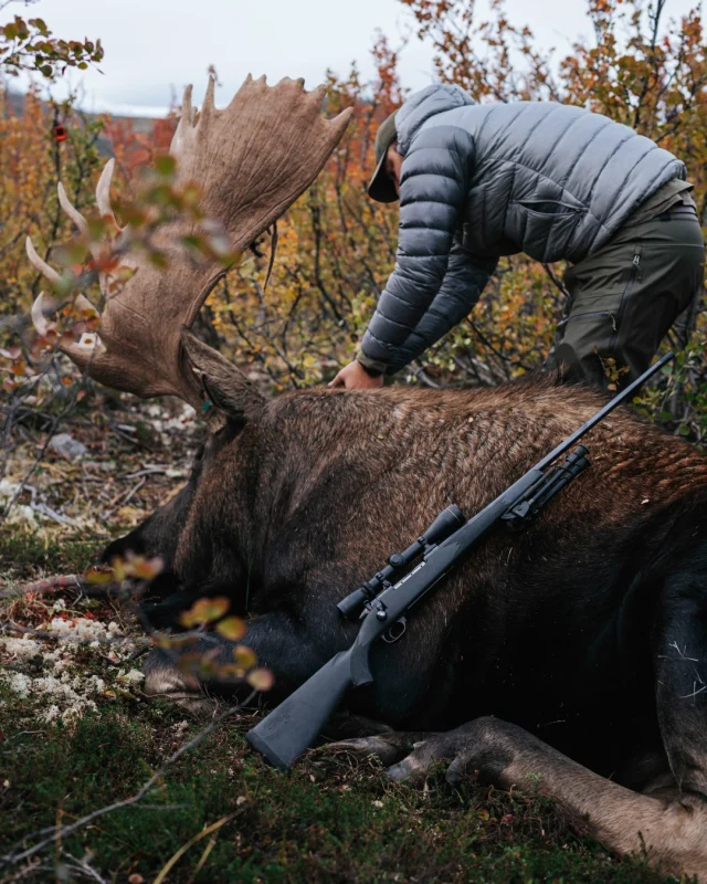 An Alaska Moose hunt for many is a bucket list hunt, and @colbyadamek and @isaac_orth came out of it successful.Stories like this fuel our determination to create products that are made to be handed down and seeing Colby take his grandfather's 30 year old Weatherby rifle to harvest this once-in-a-lifetime bull made it all the more special.Make sure you watch Stone Glacier's newest film: "Big Al's Bull" on the @stoneglacier YouTube channel, you won't want to miss this one!📸 @samaverett
#Weatherby #StoneGlacier