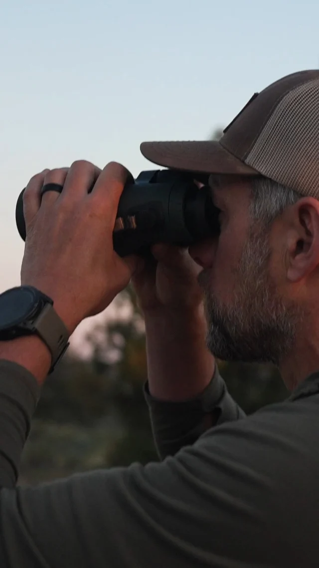 New film dropping this Monday! @adamweatherby and @remiwarren head to Arizona on a depredation tag to chase early season elk in the desert heat.Watch "Desert Bulls" on the Remi Warren YouTube page
#Weatherby #LiveWild