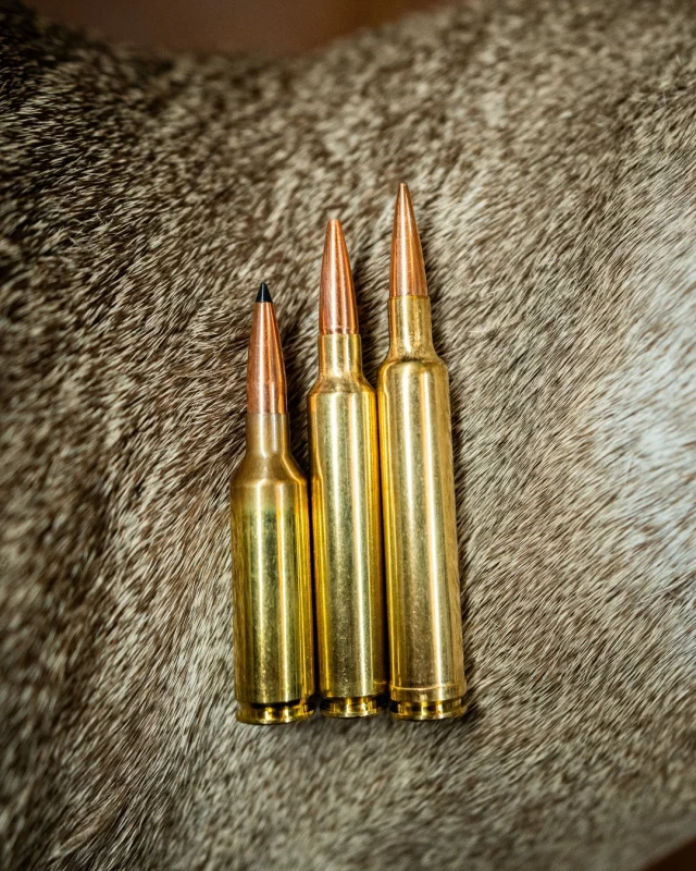 We've been doing ballistics better since the 1940's and our lineup of 6.5s is no exception. The 6.5 PRC, 6.5 WBY RPM, and the 6.5-300 WBY MAG have all made a name for themselves in the industry for a variety of reasons.The 6.5-300 WBY MAG is the fastest commercially produced 6.5 on the market reaching speeds as high as 3475 fps and is perfect for deer all the way up to elk.The 6.5 WBY RPM is right behind the 6.5-300 in speed but this lighter recoiling option is available in our smaller 6-lug Mark V® and the Model 307™ lineups.The 6.5 PRC may not be a Weatherby® cartridge but our expert ballisticians went to work to offer a custom-like load at retail availability.For more information and ballistics data visit Weatherby.com
#Weatherby #Speed #Ballistics