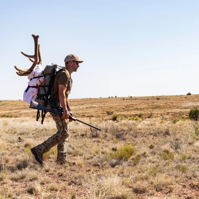 TOMORROW!@Remiwarren and @Adamweatherby headed down to Arizona on a depredation tag to chase velvet bulls in the sweltering July heat and it's all on film. Experience this early season elk hunt tomorrow on the Remi Warren YouTube page.Have you ever hunted elk in July?#Weatherby #Elk #EarlySeason