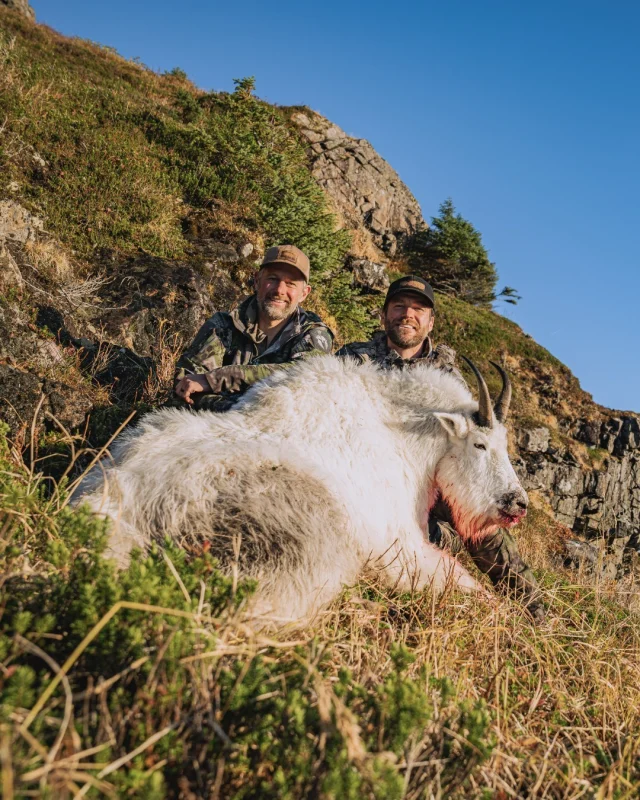 The real question is what didn't they do up in Alaska?@adamweatherby headed to Alaska to meet up with good friend and Alaska resident @akskyguy to hunt mountain goats, chase black bears, catch giant fish, and even sneak a duck hunt in! You can hear this full story right now on Episode 105 of the On Our Mark Podcast.Available anywhere you get your podcast fix.
#Weatherby #Alaska #MountainGoat