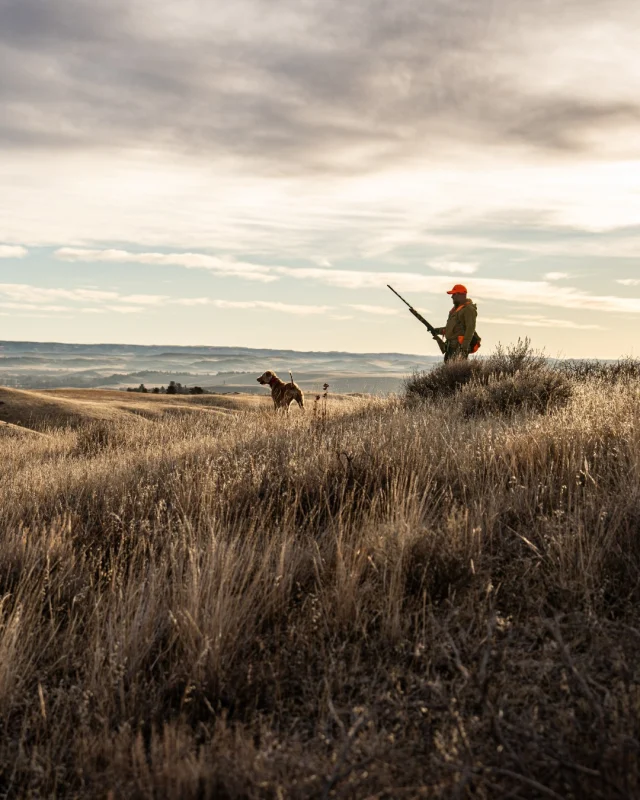 Into the vast unknown of the upland hills in search of the elusive Hun📸 @tygrethen
#Weatherby