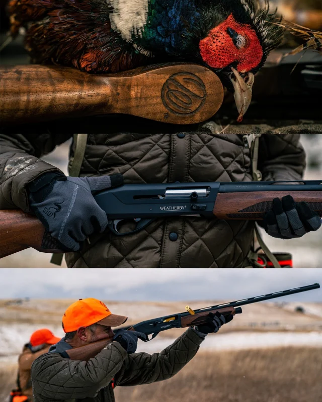 Made to thrive wherever the hunt takes you.Out of the 4 finishes, which one is your favorite? Upland, Waterfowler, Synthetic, or Tungsten?#Weatherby #Element