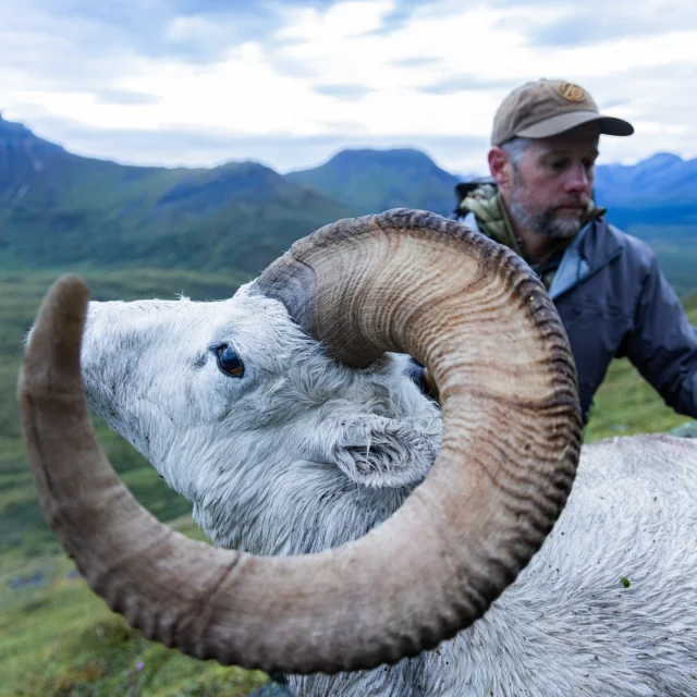 @wildsheepfoundation Sheep Show this week has us thinking about big rams like this one @adamweatherby took last year in the Yukon.Going to Sheep Show? Stop by Booth 1007 to view all the latest and greatest from Weatherby®.Not going to Sheep Show? Watch this hunt from last year go down on our YouTube page!
#Weatherby