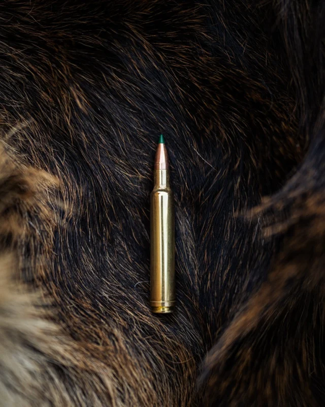 It's been too long since we've done a cartridge guessing game!Here are your hints!
- This cartridge was first developed in 1944 (81 years!)
- With a 195 grain bullet, the bullet carries 2,259 fps and 2,209 ft lbs at 500 yards
- Known widely as "suitable for anything in North America"Let's hear the guesses!
#Weatherby