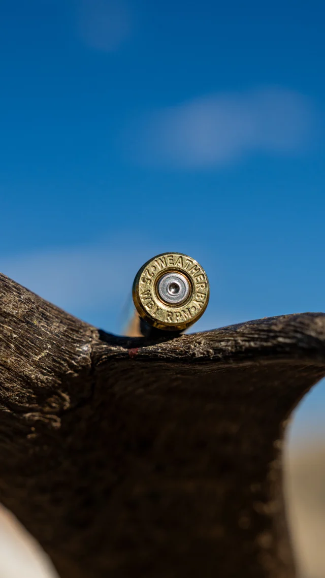 A truly purpose driven cartridge.The 25 RPM is built on the RPM case and designed to utilize our lighter, 6-lug Mark V® action. With 4 heavy-for-caliber bullet options in a new 1:7.5 twist rate, the 25 is made for performance in the field when it matters the most.Learn more at Weatherby.com
#Weatherby