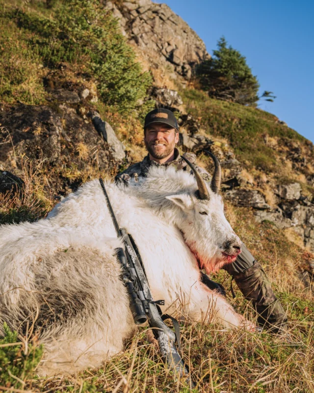 When ounces matter the most.You may or may not have noticed the prototype rifle in our film "Aviators" This was actually an early-stage Mark V Backcountry Capra used by @akskyguy on this mountain goat hunt. When you're above the clouds chasing creatures like this, every ounce matters.Go give the alaskan adventure a watch on our YouTube page if you haven't already!
#Weatherby