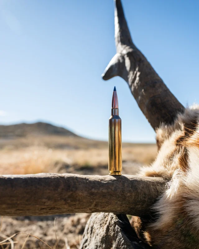 Guess the cartridge GIVEAWAY!How to win:
- Guess the CORRECT cartridge
- Follow @barnesbullets and @weatherbyinc
- Tag a buddy in the comments belowWe teamed up with our friends over at @barnesbullets to get you guys a merch kit from both of us! Winner announced on Monday afternoon. Here are your hints:- This is Weatherby's 17th cartridge (and the newest)
- This cartridge is loaded with the @barnesbullets 117 gr LRX
- With the 117 LRX, muzzle fps is 3150 while also maintaining 1348 ft lbs of energy at 500 yards.#Weatherby