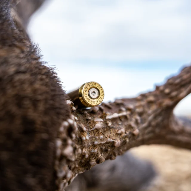 Have questions about the 25 RPM?Drop them in the comments below and we'll try to answer as many as we can! Or if you're at Western Hunt Expo this weekend, stop by Booth 4630 and ask us in person!#Weatherby
