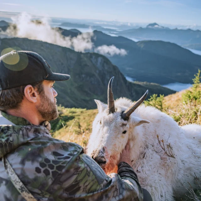 What's your dream rifle tag to draw?#Weatherby