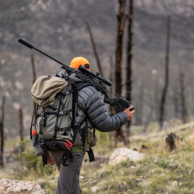 Bears were marked safe this weekend.#Weatherby
