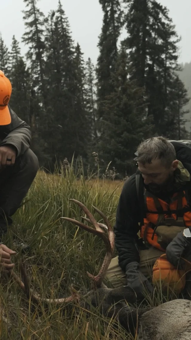 When the plan finally comes together:Dropping tomorrow, "Tags Over Points" a Muzzleloader Mule Deer hunt goes live on our YouTube page!
#Weatherby