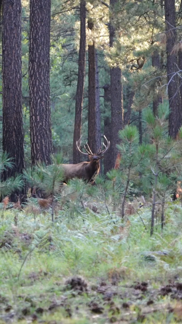 September is here...#Weatherby