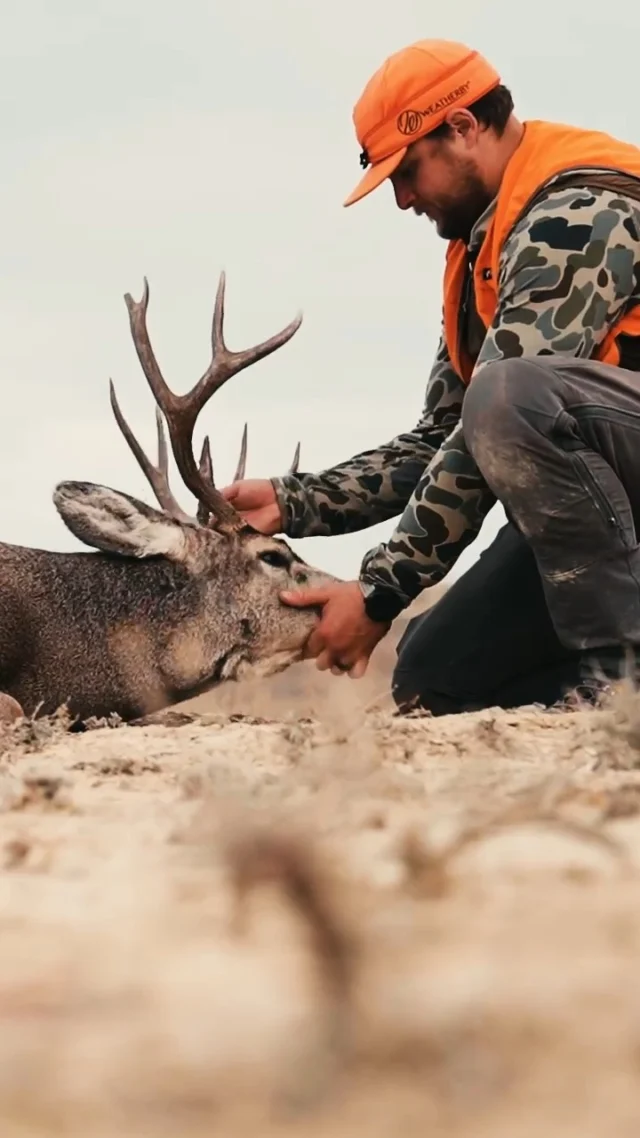 Heavy packouts are good for the soul.Especially when listening to @officialcreedpage on the way out.We're dropping this mule deer hunt this Sunday, make sure to tune in!
#Weatherby