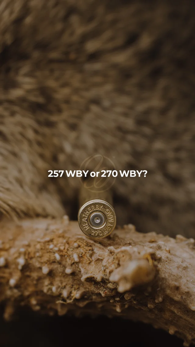 One cartridge to pick: 257 WBY or 270 WBY?Which one are you taking and why?
#Weatherby